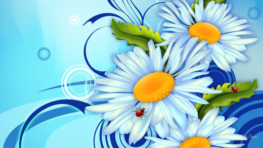 781822 (a): :1920x1080